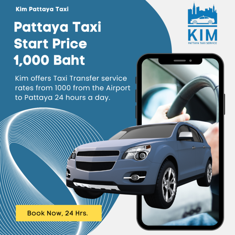 A Digital Perspective on the Taxi Industry
